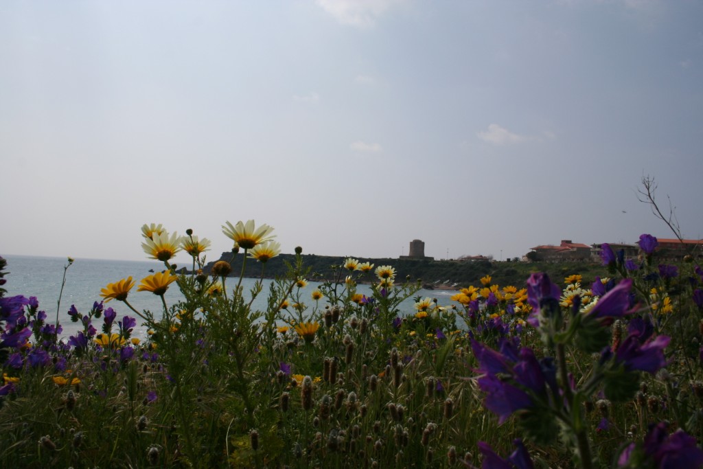 Fiori sul mare-Isola Capo Rizzuto (Crotone)
